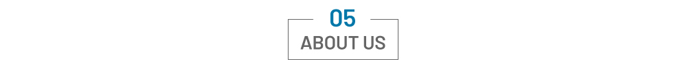 Product_title